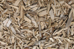 biomass boilers Leswalt